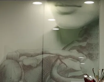 Lámina anatómica del hombro en el cristal de la recepción